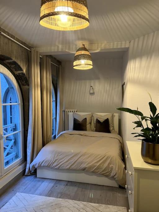 Superbe Duplex En Hyper Centre Lejlighed Saint-Etienne  Eksteriør billede